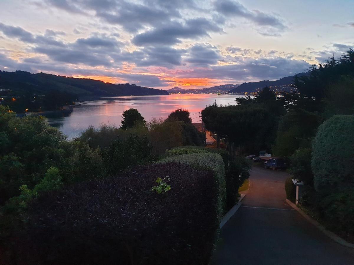 Tui2 Macandrew Bay Dunedin Luaran gambar